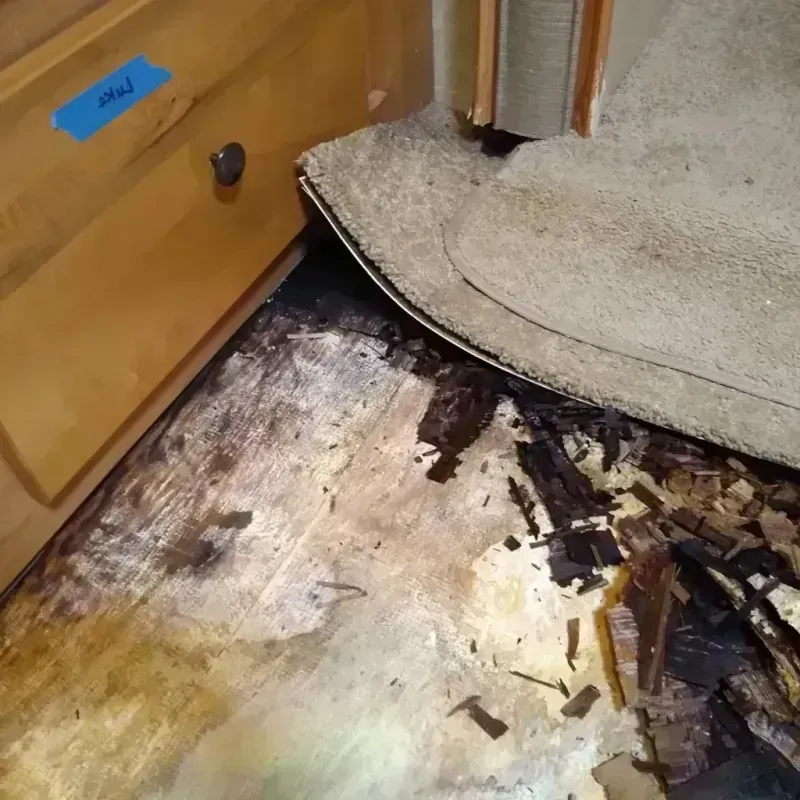 Wood Floor Water Damage in Alton, MO